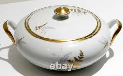 Fine China Service Set for 12 Gold Fern Hutschenreuther Bavaria Ferndale 75 Pcs