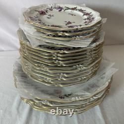 Floral Porcelain Plates with Gold Trim, Decorative Serving Dishes 20 piece set