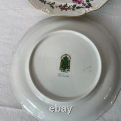 Floral Porcelain Plates with Gold Trim, Decorative Serving Dishes 20 piece set