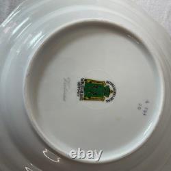 Floral Porcelain Plates with Gold Trim, Decorative Serving Dishes 20 piece set