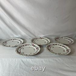 Floral Porcelain Plates with Gold Trim, Decorative Serving Dishes 20 piece set