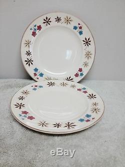 Franciscan Vintage Dinnerware Larkspur Pattern 47 pieces