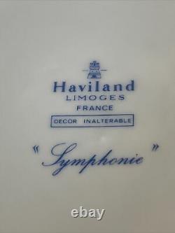 HAVILAND LIMOGES France DINNERWARE SET SYMPHONIE Pattern- 51 Pieces