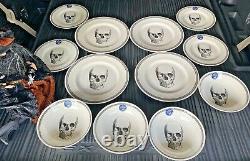 Halloween Skull Royal Stafford England 12 pc SET Dinnerware Plates Bowls NEW