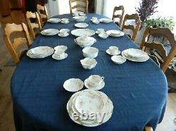 Haviland & Co Limoges Schleiger #52D Dinnerware Set for 8/w6 Serving Pieces 9-5