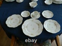 Haviland & Co Limoges Schleiger #52D Dinnerware Set for 8/w6 Serving Pieces 9-5