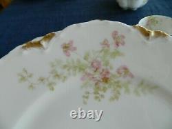 Haviland & Co Limoges Schleiger #52D Dinnerware Set for 8/w6 Serving Pieces 9-5