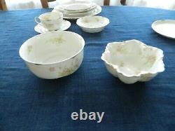 Haviland & Co Limoges Schleiger #52D Dinnerware Set for 8/w6 Serving Pieces 9-5