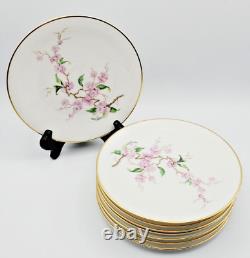 Heinrich & Co. Blossomtime White Plate Set 36 Pieces, Made in Germany