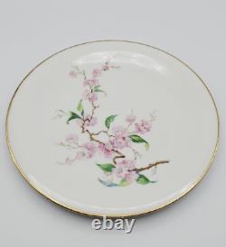 Heinrich & Co. Blossomtime White Plate Set 36 Pieces, Made in Germany