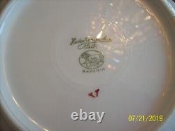 Hutschenreuther Selb Vtg Porcelain China Rose Pattern Dinnerware 54 Pieces