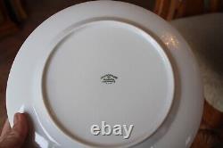 Johann Haviland Bavaria Porcelain China Morning Mist Pattern 40 Piece Grouping