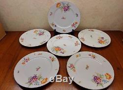 KPM Germany Floral Flower 20 pc Dinnerware Dinner Salad Plates Cup Saucer Roses