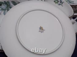 Konigl pr tettau Porcelain Dinnerware Service for 6 Blue & Green Roses Silver Tr