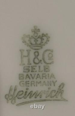 Luxury Complete 48-Piece Vintage Hutschenreuther Selb Bavaria Germany Set
