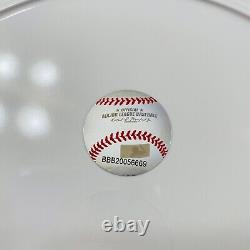 Mlb Angels Baseball 12 Pcs Melamine Outdoor Dinner Ware Set Plates & Bowls