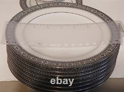 Noritake Segovia 2216 Retired 47 Pieces