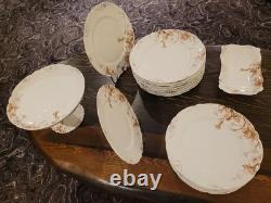 Original Haviland 18-piece dinner and dessert set for 8 (16 plates, 2 trays)