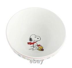 PEANUTS SNOOPY CHRISTMAS DINNER SET 18-Piece FINE CERAMIC DINNERWARE SET PLATES