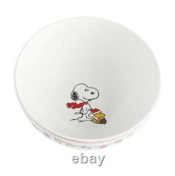 PEANUTS SNOOPY CHRISTMAS DINNER SET 18-Piece FINE CERAMIC DINNERWARE SET PLATES