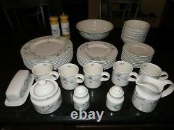 PFALTZGRAFF April 46 Pcs. Place Setting Dinnerware Set