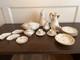 Pickup for Today, 22 Piece Bone China, Lamoge dinner set