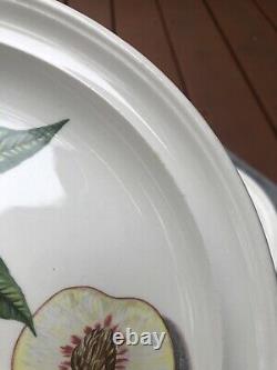 Portmeirion Pomona Dinner Plates Plates Set Of Five Older Mark Plus