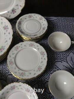 Princess China SWEET BRIAR 51pc Dinnerware Dishes Set Service For 7+