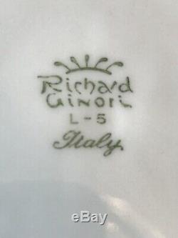 Richard Ginori Italian Vecchio White Porcelain China Dinnerware Set Serves 16 +