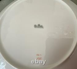 Rosenthal Germany# M3471-Dinner Set- 7 Pieces / 10 Place Setting- White/platinum