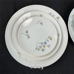 Rosenthal Mid-Century Modern Continental Germany Dinnerware Set