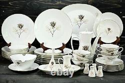 Rosenthal Shadow Rose China 62 Piece Dinner Set Mid-Century Modern Germany