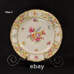 Schumann 4 Dinner Plates Empress Dresden Flowers Fuzzy Pink Pointed Purple 1955