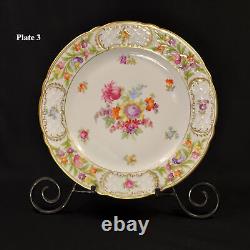 Schumann 4 Dinner Plates Empress Dresden Flowers Fuzzy Pink Pointed Purple 1955