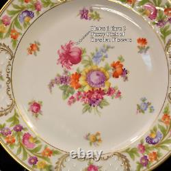 Schumann 4 Dinner Plates Empress Dresden Flowers Fuzzy Pink Pointed Purple 1955