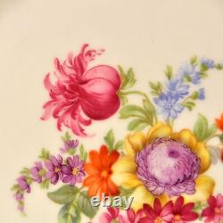 Schumann 4 Dinner Plates Empress Dresden Flowers Fuzzy Pink Pointed Purple 1955