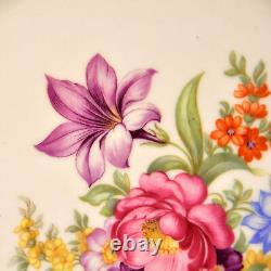 Schumann 4 Dinner Plates Empress Dresden Flowers Fuzzy Pink Pointed Purple 1955