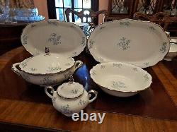 Service For 12 Dinnerware Set Margarete Forget Me Not blue flowers platinum trim