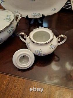 Service For 12 Dinnerware Set Margarete Forget Me Not blue flowers platinum trim