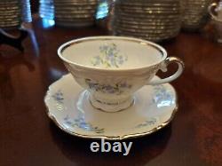 Service For 12 Dinnerware Set Margarete Forget Me Not blue flowers platinum trim