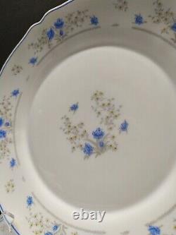 Set 16 PCs vintage Arcopal ROMANTIQUE Dinnerware France blue white setting for 4