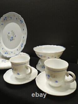 Set 16 PCs vintage Arcopal ROMANTIQUE Dinnerware France blue white setting for 4