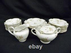 Set of 22 Pc. Haviland & Co Limoges China Schleiger 53 Blank 19 France