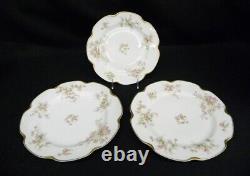 Set of 22 Pc. Haviland & Co Limoges China Schleiger 53 Blank 19 France