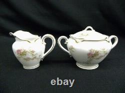 Set of 22 Pc. Haviland & Co Limoges China Schleiger 53 Blank 19 France