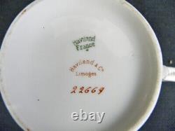 Set of 22 Pc. Haviland & Co Limoges China Schleiger 53 Blank 19 France