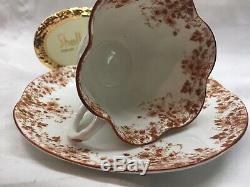 Shelley Dainty Brown Daisy 051/b Cup And Saucer Brown Trim