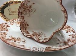 Shelley Dainty Brown Daisy 051/b Cup And Saucer Brown Trim