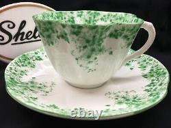 Shelley Dainty Green Daisy 053 Cup And Saucer Green Trim