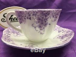 Shelley Dainty Purple Daisy 051/35 Cup And Saucer Purple Trim Very Rare